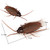 Remote Control Realistic Fake Cockroach Rc Toy Prank Insects Roach Gift For Kids