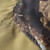 Hiking Hunting Snow Outdoor Sand Snake Waterproof Boots Cover Legging Gaiters