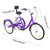7-Speed 24" Adult 3-Wheel Tricycle Cruise Bike Bicycle With Basket purple