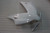 Injection Fairing Kit Bodywork ABS fit For Honda CBR1000RR 2012-2016 #6