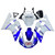 1998-2002 Yamaha YZF 600 R6 Injection Fairing Kit Bodywork Plastic ABS #125 Amotopart Fairing