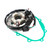 Magneto Stator Generator + Gasket For Yamaha YZ 250 F YZ250F 2006-2009 Magneto Stator Generator + Gasket For Yamaha YZ 250 F YZ250F 2006-2009