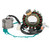 Magneto Stator+Voltage Rectifier+Gasket For Yamaha 1995 MOTO-4 350 YFM350ER Magneto Stator+Voltage Rectifier+Gasket For Yamaha 1995 MOTO-4 350 YFM350ER