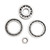 Rear Differential Ring Pinion Gear Bearing Kit For Honda Trx300Fw 4X4 88-00 89