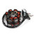 Stator Magneto Fit for 50339004200 *2K-3 Version 250 300 380 125 200 EXC Stator Magneto Fit for 50339004200 *2K-3 Version 250 300 380 125 200 EXC