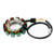 Generator Stator Coil For KAWASAKI KLX250 KLR250 KL250 1985-2005 # 21003-1121