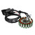 Generator Stator Coil For Yamaha YP400 YP400G Majesty 400 04-15 5RU-81410-00