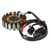 Stator Fits Honda 14-23 TRX420 Rancher FE1 FM1 FM2 TE1 TM1 Magneto Alternator Stator Fits Honda 14-23 TRX420 Rancher FE1 FM1 FM2 TE1 TM1 Magneto Alternator