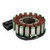 Stator Fits Honda 14-23 TRX420 Rancher FE1 FM1 FM2 TE1 TM1 Magneto Alternator