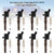 8pcs Ignition Coils +Spark Plugs DG521 SP509 For Ford F150 4.6L 5.4L