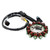 Generator Stator For Honda CRF450R CRF450RX CRF450RWE 2021-2024 31120-MKE-AF1