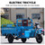 50-60km 800W Electric Cargo Tricycle Truck Simple Tricycle