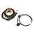 Stator Generator For Kawasaki ATV KVF360 Prairie 360 4x4 2003-2013 21003-0095 Stator Generator For Kawasaki ATV KVF360 Prairie 360 4x4 2003-2013 21003-0095