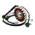 2003-2007 Honda XR 125 L XR125L Magneto Generator Stator Fit 31120-KRH-D00 31120-KRH-D01 Generic
