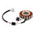 2013-2021 Beta RR 125 Magneto Generator Stator Fit 021100030000 Generic 2013-2021 Beta RR 125 Magneto Generator Stator Fit 021100030000 Generic