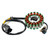 2017-2023 CFMoto 250 300 NK SR SS Magneto Generator Stator Fit 0DM0-032000 0A80-032000-20000 0DMV-032000-0001 Generic