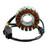 2017-2023 CFMoto 250 300 NK SR SS Magneto Generator Stator Fit 0DM0-032000 0A80-032000-20000 0DMV-032000-0001 Generic