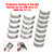 2008-2015 SEAT Alhambra Altea / Altea XL Leon Crankshaft Bearing & Con Rod Bearing Set 06H105561J, 06H105591J Generic 2008-2015 SEAT Alhambra Altea / Altea XL Leon Crankshaft Bearing & Con Rod Bearing Set 06H105561J, 06H105591J Generic