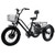 500W 48V 12A Electric Bike Snow Tricycle 3 wheel e-bike Fat Tire Tricycle