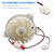 EAU64824402 Snap Supply Fan Motor for LG Refrigerator Evaporator Freezer EAU64824402 Snap Supply Fan Motor for LG Refrigerator Evaporator Freezer