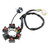 Beretta Turbo Quad 150 ATV Apollo Sano Predator 6 Poles Magneto Generator Stator 5-Wire ACC-2135200 Generic