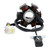Beretta Turbo Quad 150 ATV Apollo Sano Predator 6 Poles Magneto Generator Stator 5-Wire ACC-2135200 Generic