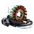 GOES ATV Goes 300s 400 18 Poles Magneto Generator Stator 5-Wire Generic