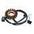 GOES ATV Goes 300s 400 18 Poles Magneto Generator Stator 5-Wire Generic