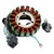 Access ATV AMX AMS Xtreme MAX 4 Tomahawk 300 400 18 Poles Magneto Generator Stator 5-Wire Generic