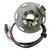 2002 TM85 6 Poles Ignition stator with Base Assembly 5-Wire Generic