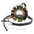 SMC Rex Explorer ATV Quad 250cc 11 Poles Magneto Generator Stator 35560-CBT-00 Generic