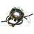 SMC Rex Explorer ATV Quad 250cc 11 Poles Magneto Generator Stator 35560-CBT-00 Generic