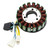 Triton Reactor 450 Access AMS 4.38 Xtreme 480 18 Poles Magneto Generator Stator 5-Wire 31120-E12-100 Generic