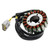 Stels Guepard 650\800\850, Rosomaha 800, RM 800 18-Pole Magneto Generator Stator 3 Wires Generic