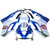 2009-2012 Triumph Daytona 675 Injection Fairing Kit Bodywork Plastic ABS Amotopart Fairing #108