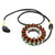 Motorcycle Parts Accessories/Electrical & Ignition/Starter | Stator - Magneto Generator Charging Coil