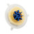 Automobile | Car | Truck | Parts Accessories/Lighting/Headlight | Headlight Lenses