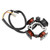 Motorcycle Parts Accessories/Electrical & Ignition/Starter | Stator - Magneto Generator Charging Coil