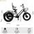 500W 48V 12A Electric Bike Snow Tricycle 3 wheel e-bike Fat Tire Tricycle