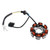 Modenas Kriss 120 8-Pole Magneto Generator Stator 21003-U656 Generic Modenas Kriss 120 8-Pole Magneto Generator Stator 21003-U656 Generic