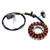Beeline ATV  Bestia 300 18-Pole Magneto Generator Stator 31120-169-001 Generic