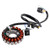 Beeline ATV  Bestia 300 18-Pole Magneto Generator Stator 31120-169-001 Generic