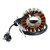 1997/1999-2001 Yamaha TT600R 18-Pole Magneto Generator Stator 5CH8141000 Generic