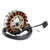 1991-1997 Yamaha XTZ660 Tenere SZR660 18-Pole Magneto Generator Stator 3YF-81410-00 3YF-81410-01 Generic