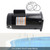 B2842 Swimming Pool Motor 1.5HP 230V 3450 RPM