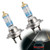 2PCS Car Lamp Night Breaker H7 64210NB220 12V 55W For OSRAM