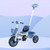 Baby Push Trike Toddler Tricycle Boys and Girls Kids Tricycle with Push Handle