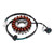 Daelim VL125FI VJ125 EFI Models 18-Pole Magneto Generator Stator 31120-BA1-R300 Generic