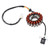 2008-2017 Daelim S1 125 18-Pole Magneto Generator Stator 31120-BA8-0000 Generic