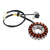 2000-2009 Kymco Grand Dink People B&W 250 18-Pole Magneto Generator Stator 31120-LDB2-E00 Generic